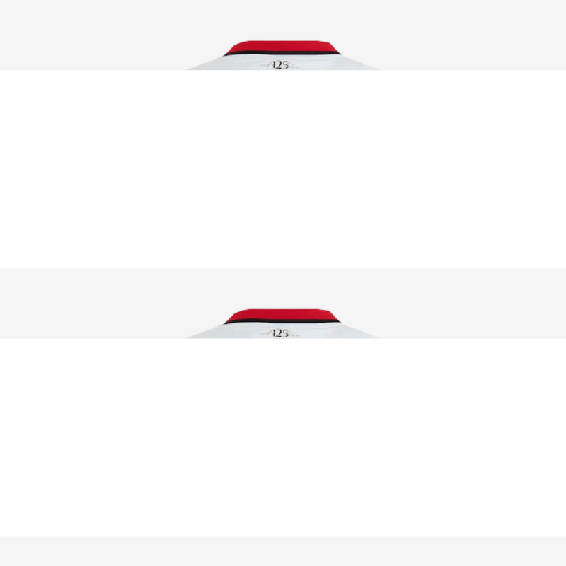 Camisa Puma AC Milan 2024/25 II