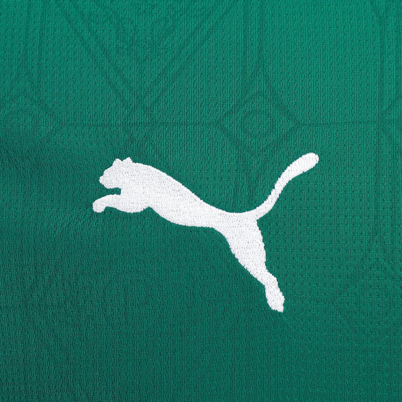 Maglia Palmeiras 25/26 I Home - Versione Tifoso