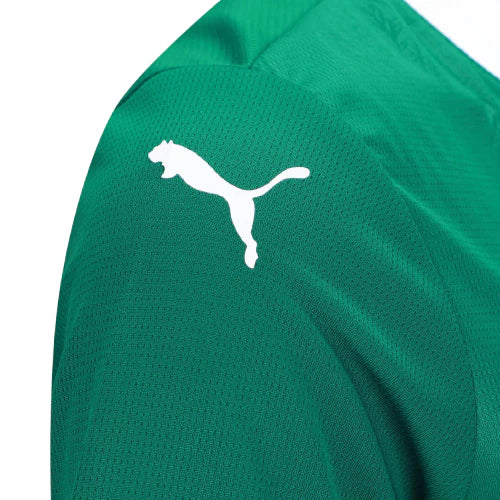 Maglia Palmeiras 25/26 I Home - Femminile