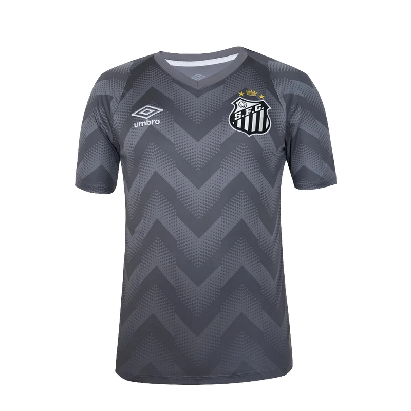 Maglia Santos 24/25 Portiere - Grigio - Versione Tifoso