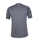 Maglia Santos 24/25 Portiere - Grigio - Versione Tifoso