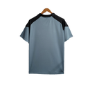 Maglia Grêmio 23/24 Allenamento - Grigio - Versione Tifoso