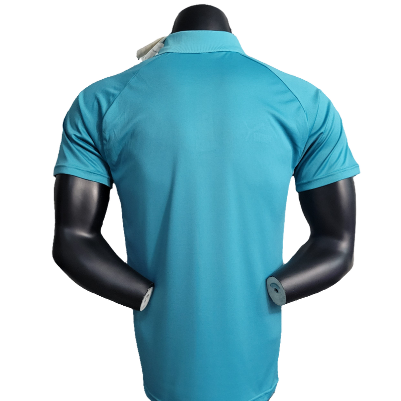 Maglia Palmeiras 23/24 Edizione Polo - Verde Chiaro - Versione Tifoso