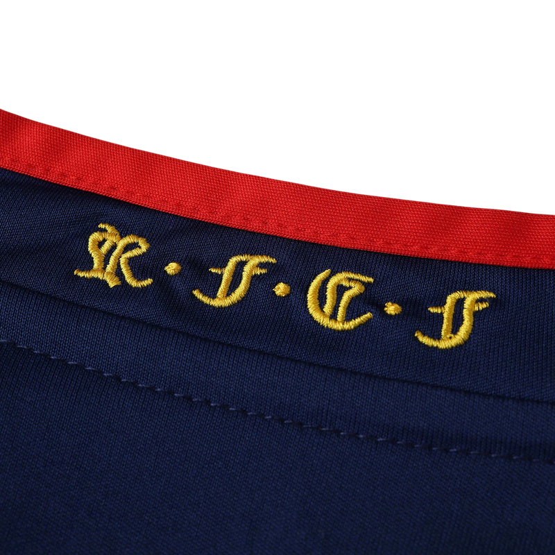 Camisa Espanha II 2010