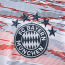 Camisa Bayern de Munique II 2025/26