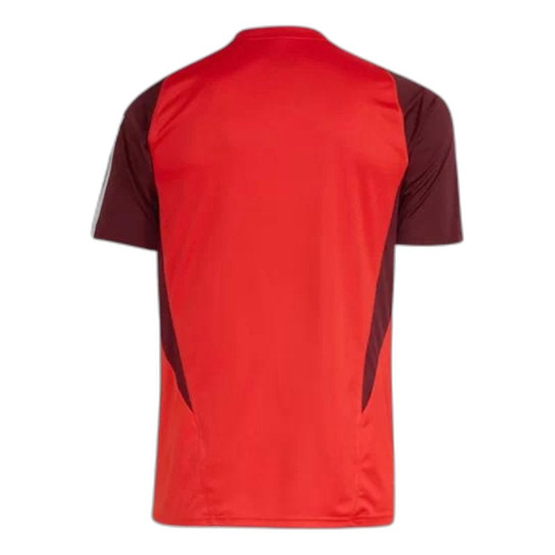 Maglia Internacional 24/25 Allenamento - Versione Tifoso