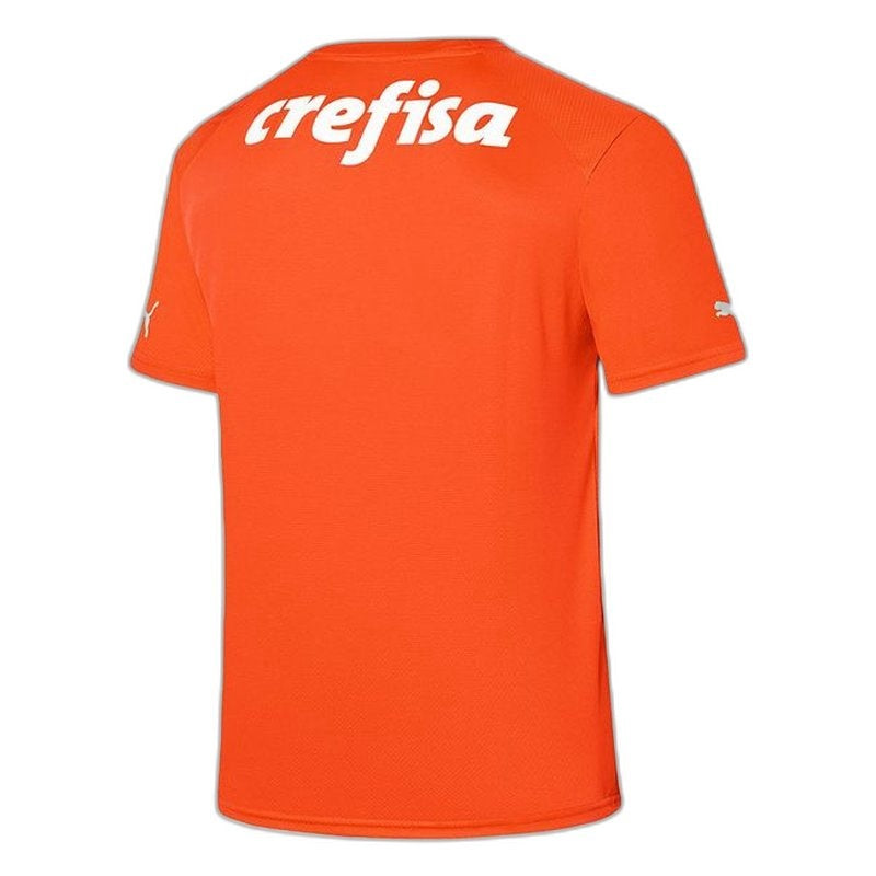 Maglia Palmeiras 23/24 Portiere III Third - Versione Tifoso
