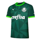 Maglia Palmeiras 23/24 I Home - Versione Tifoso