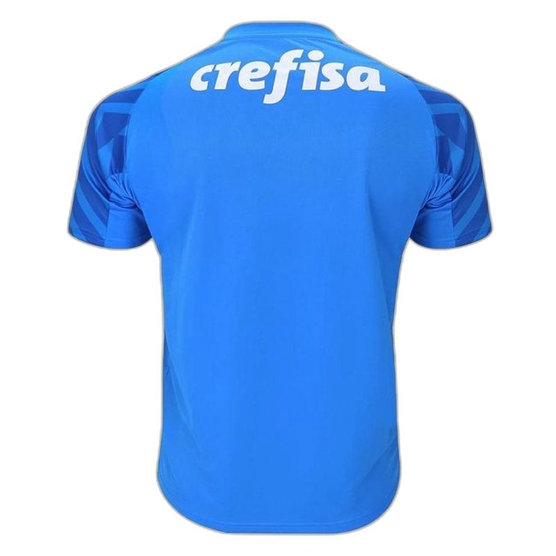 Maglia Palmeiras 24/25 Portiere I Home - Versione Tifoso