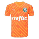 Maglia Palmeiras 24/25 Portiere III Third - Versione Tifoso