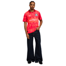 Maglia Palmeiras 25/26 Edizione Speciale II - Versione Tifoso