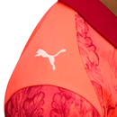 Maglia Palmeiras 25/26 Edizione Speciale II - Versione Tifoso