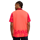 Maglia Palmeiras 25/26 Edizione Speciale II - Versione Tifoso