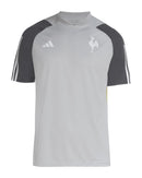 Maglia Atlético Mineiro 24/25 Allenamento - Grigio - Versione Tifoso